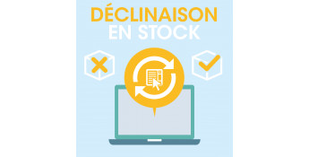 Déclinaison en stock en...